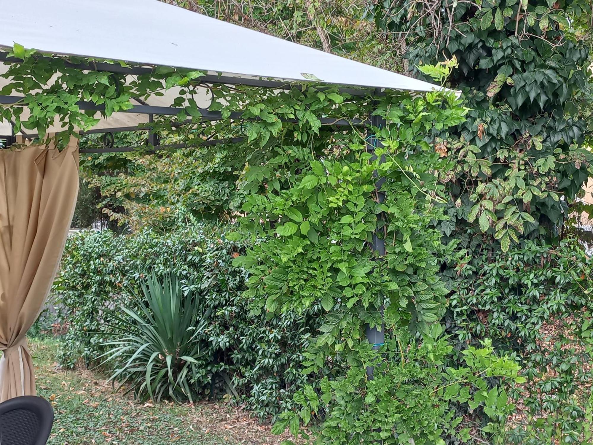 Appartamento Le Magnolie 2 Mestre Exteriér fotografie