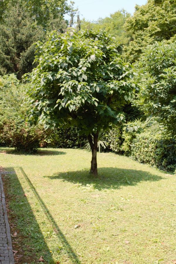 Appartamento Le Magnolie 2 Mestre Exteriér fotografie