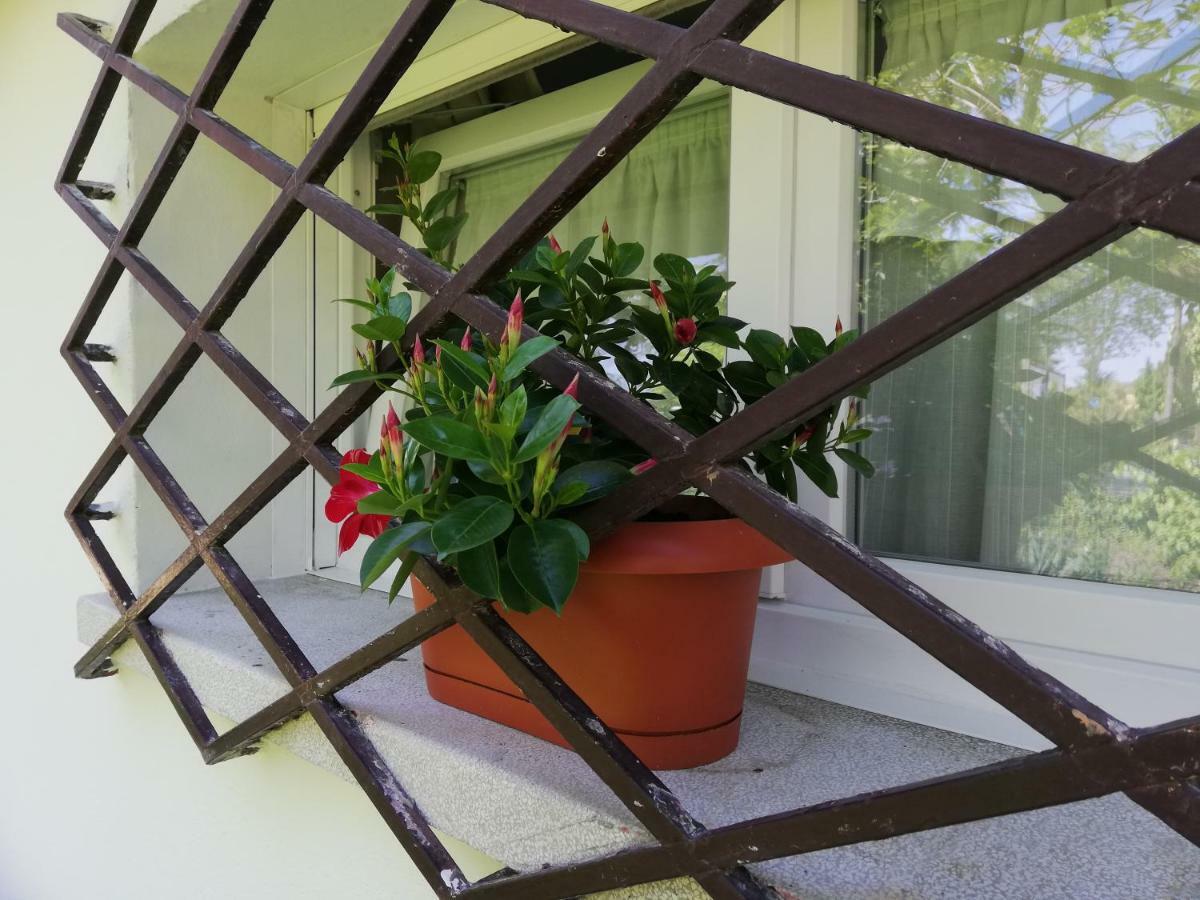 Appartamento Le Magnolie 2 Mestre Exteriér fotografie